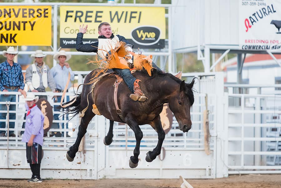 Beginner's Guide to Rodeo Photography