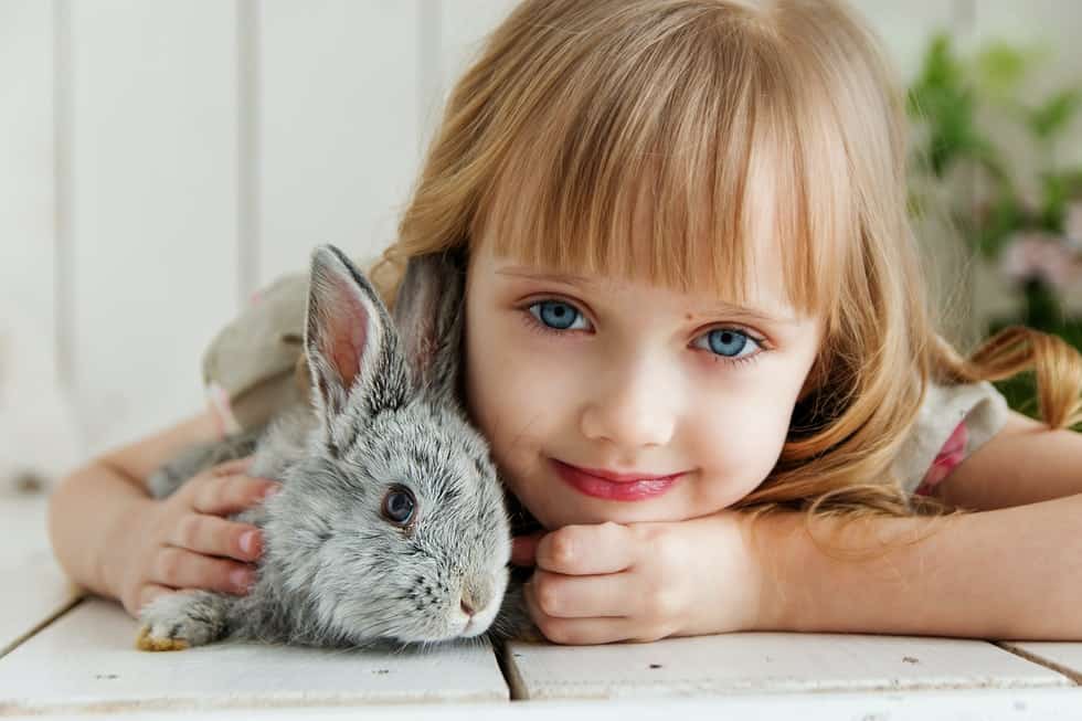 child with grey rabbit