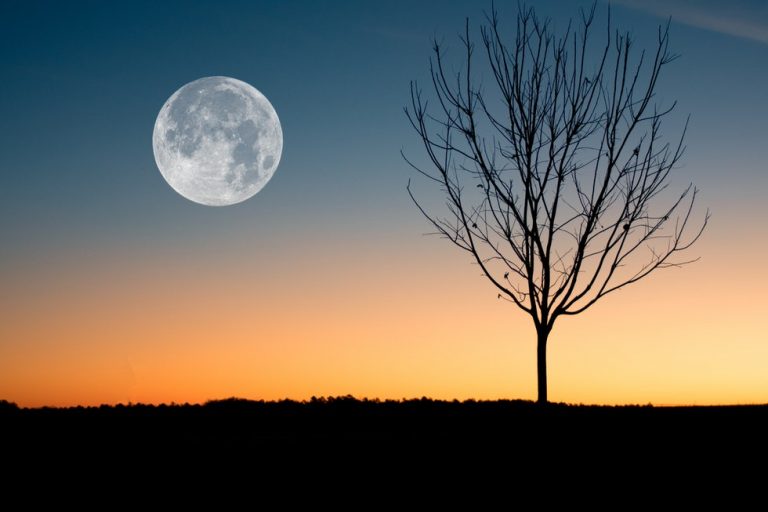 Moon Photography: How to Easily Capture the Perfect Shot
