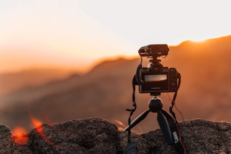 Best Budget Tripod for Every Photographer